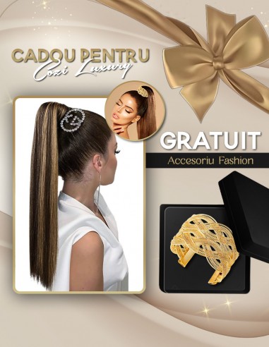 Extensii Coada LUXURY EDITION Balayage 2/60