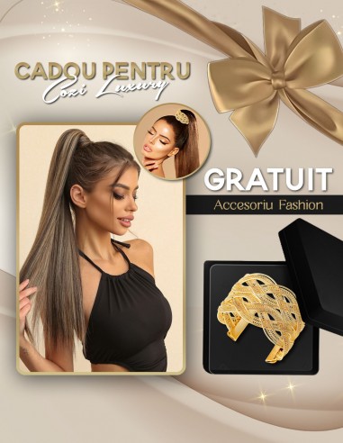 Extensii Coada LUXURY EDITION Balayage 4/60