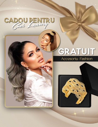 Extensii Coada LUXURY EDITION Ombre 1/GRAY