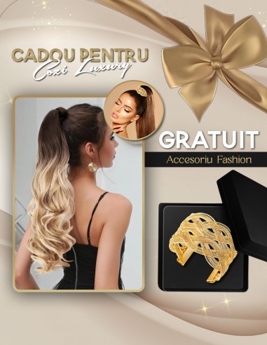 Extensii Coada LUXURY EDITION Ombre 4/60